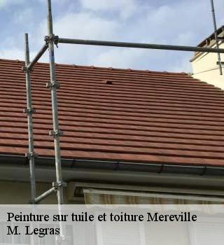 Peinture sur tuile et toiture  mereville-91660 M. Legras