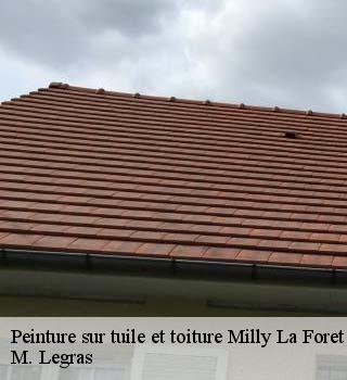 Peinture sur tuile et toiture  milly-la-foret-91490 M. Legras