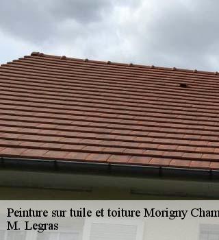 Peinture sur tuile et toiture  morigny-champigny-91150 M. Legras