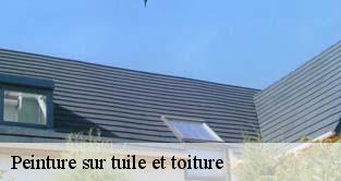 Peinture sur tuile et toiture  morsang-sur-seine-91250 M. Legras