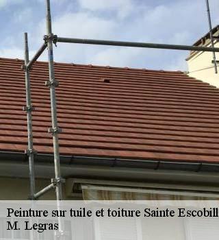 Peinture sur tuile et toiture sainte-escobille-91410 M. Legras