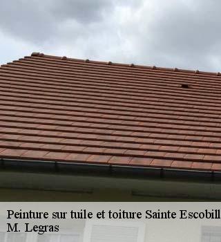 Peinture sur tuile et toiture  sainte-escobille-91410 M. Legras