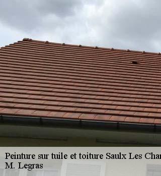 Peinture sur tuile et toiture  saulx-les-chartreux-91160 M. Legras