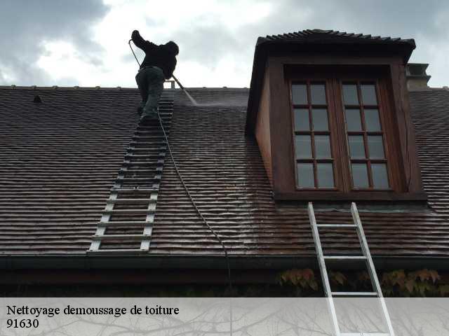 Nettoyage demoussage de toiture 91630