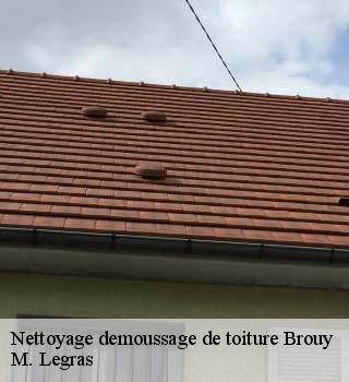 Nettoyage demoussage de toiture  brouy-91150 M. Legras