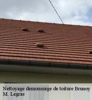 Nettoyage demoussage de toiture  brunoy-91800 M. Legras
