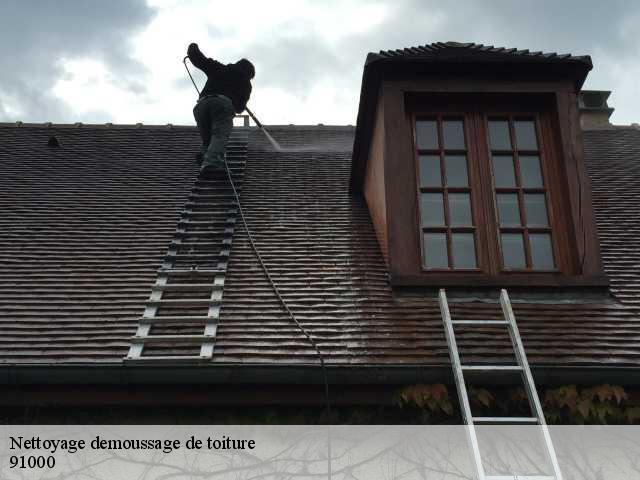 Nettoyage demoussage de toiture 91000