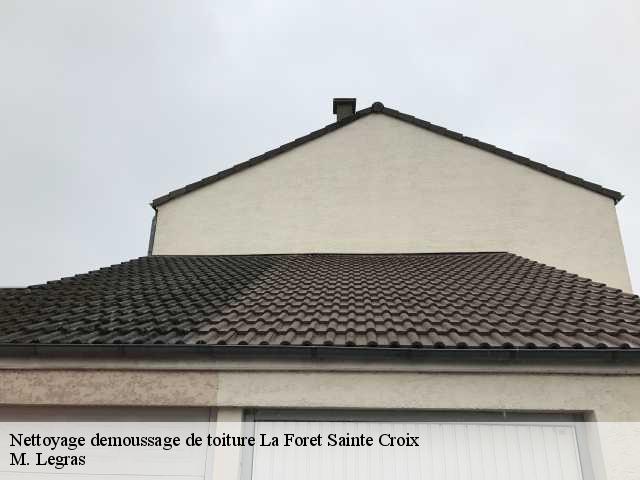 Nettoyage demoussage de toiture la-foret-sainte-croix-91150