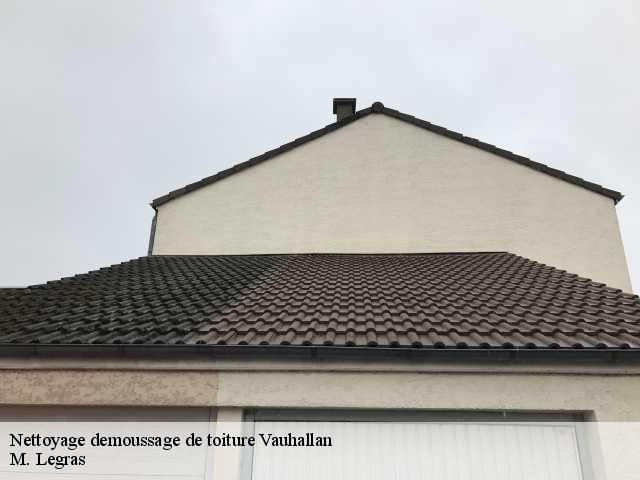 Nettoyage demoussage de toiture vauhallan-91430