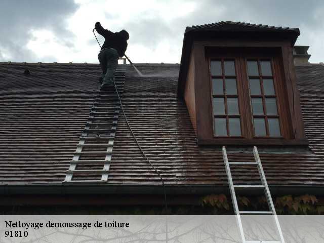 Nettoyage demoussage de toiture 91810
