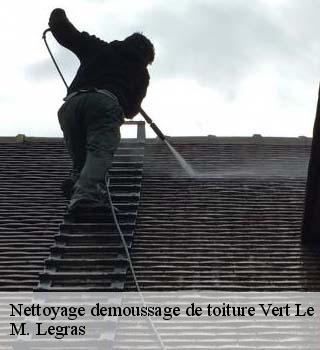 Nettoyage demoussage de toiture vert-le-grand-91810 M. Legras